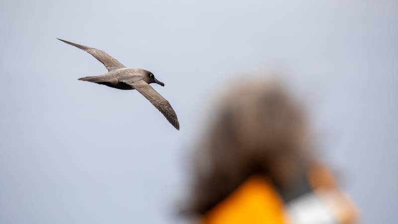 Antarctic Peninsula: Crossing the Circle