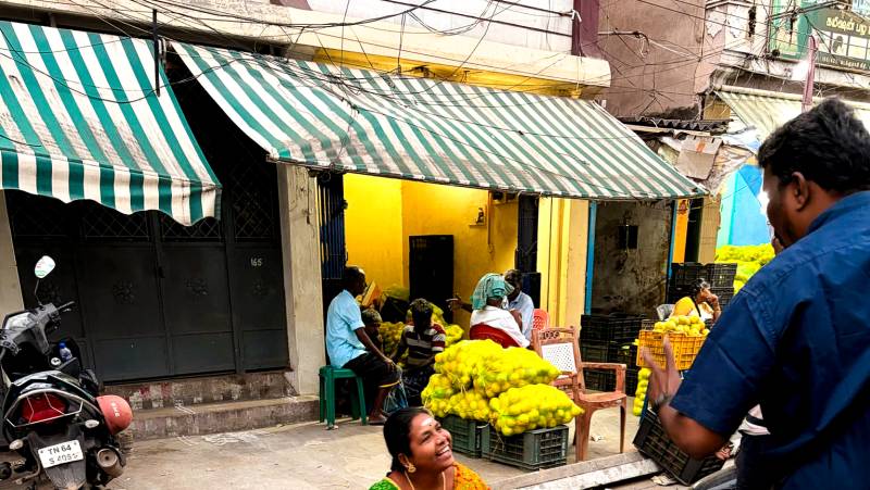 Kerala & the Tropical South