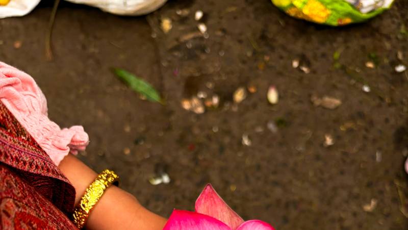 Kerala & the Tropical South