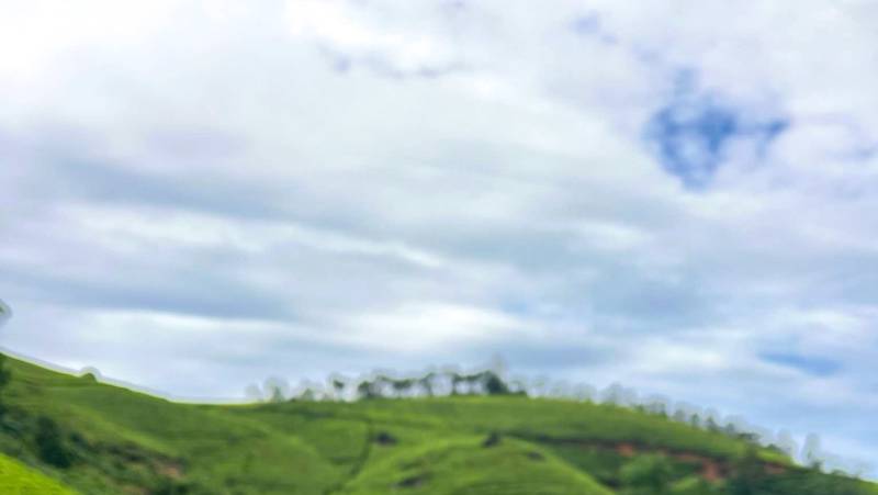 Kerala & the Tropical South