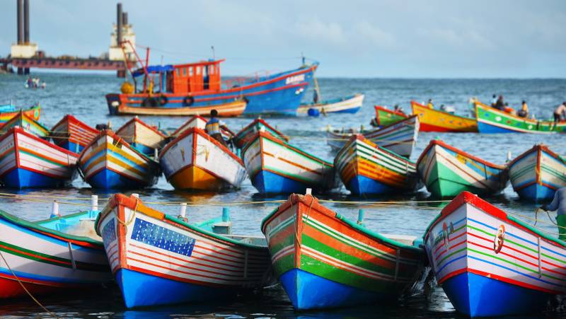 Kerala & the Tropical South