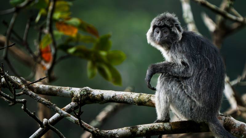 Cycling Indonesia’s Islands