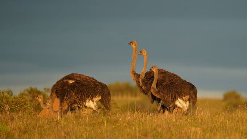 Cape Town & the Garden Route