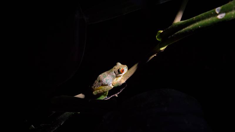 Costa Rica Family Escape