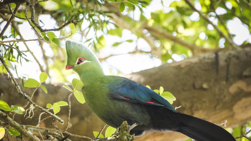 Cape Town & the Garden Route