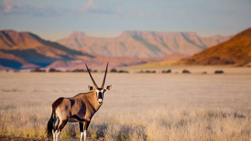 Sossusvlei - Namib - Namibia