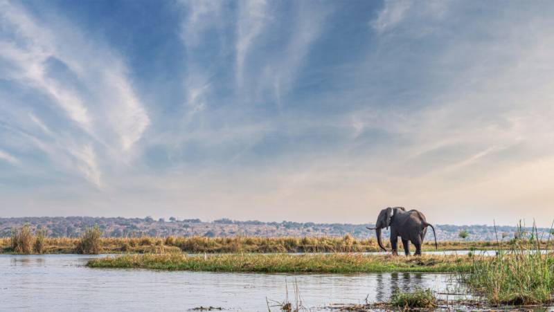 Chobe National Park, Botswana