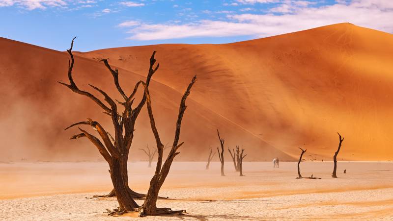 Cape Town to Victoria Falls – Hotel/Lodge