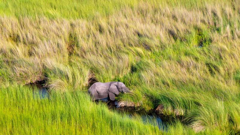 Cape Town to Victoria Falls – Hotel/Lodge