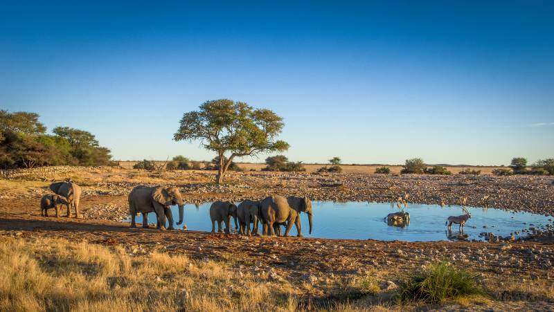 Cape Town to Victoria Falls – Hotel/Lodge