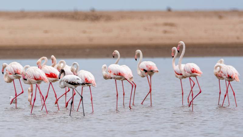 Cape Town to Victoria Falls – Hotel/Lodge