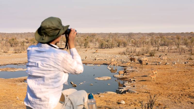 Cape Town to Victoria Falls – Hotel/Lodge