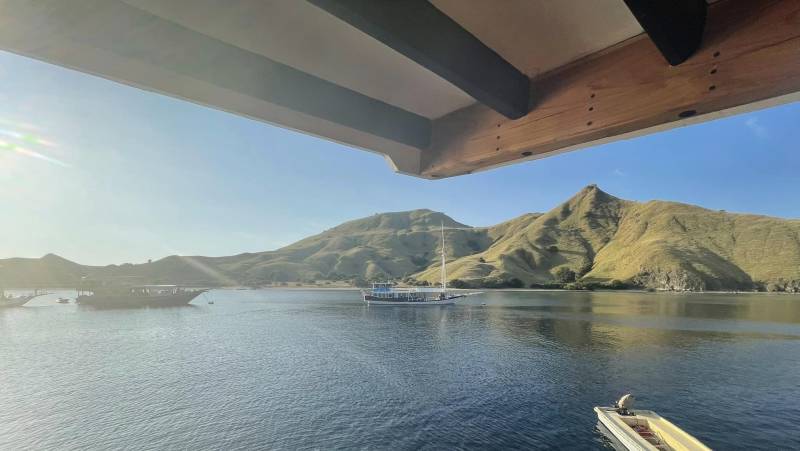 Primates & Dragons of Indonesia