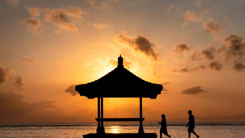 Primates & Dragons of Indonesia