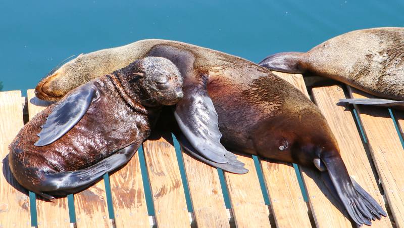 Cape Town & the Garden Route