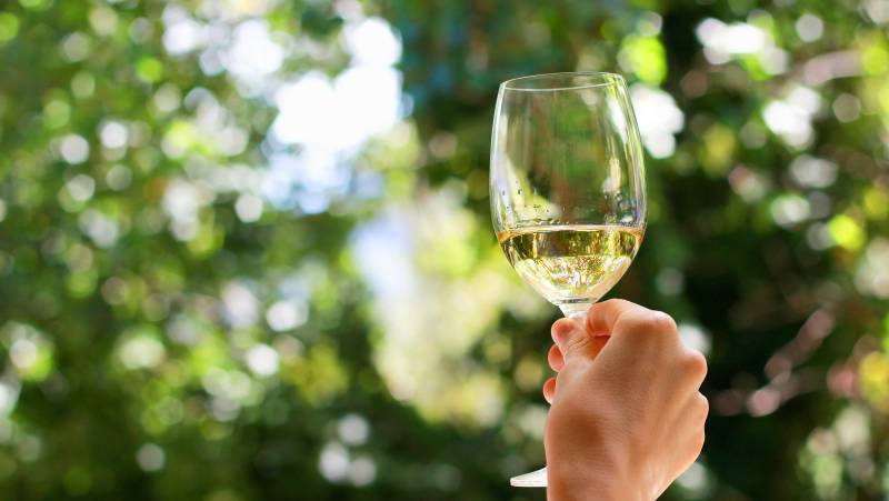 Cape Town to Victoria Falls – Hotel/Lodge