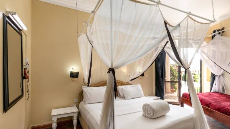 Chimps & Gorillas of Uganda