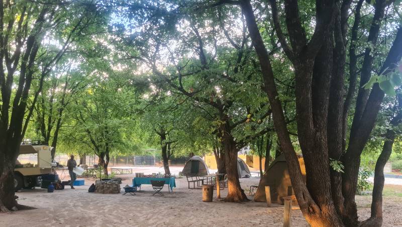 Wildlife & Wilderness of Botswana