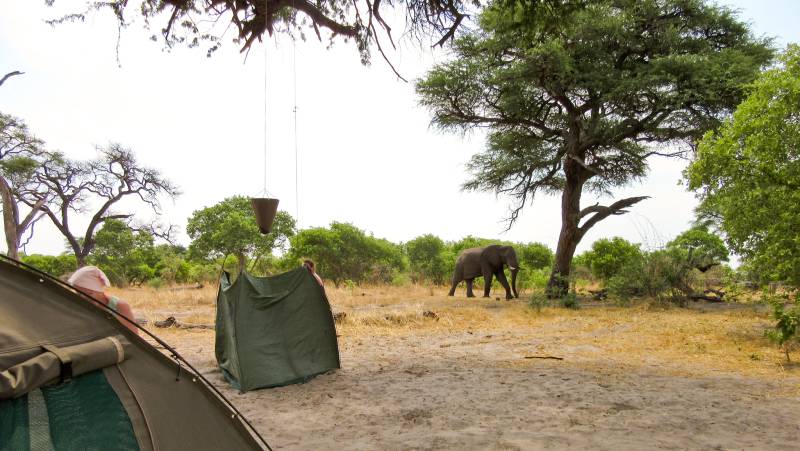 Wildlife & Wilderness of Botswana