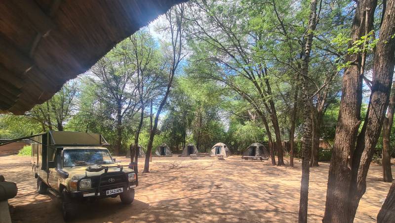 Wildlife & Wilderness of Botswana