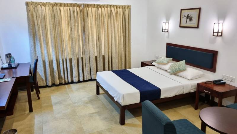 Kerala & the Tropical South