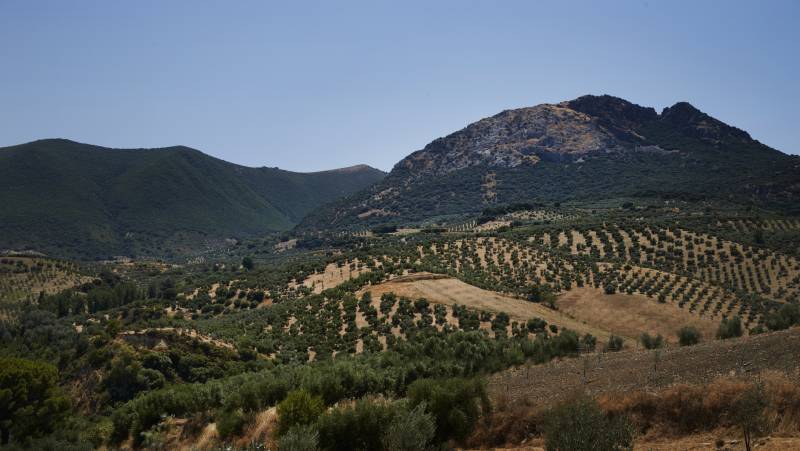 Walking in Andalucia