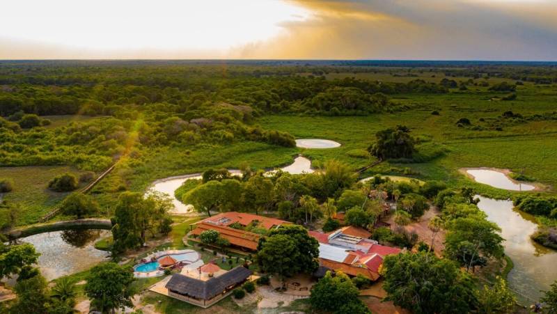 Pantanal – Land of the Jaguar