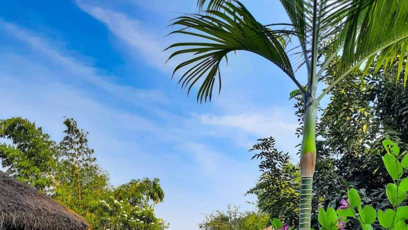 Cycle Kerala & Tropical India