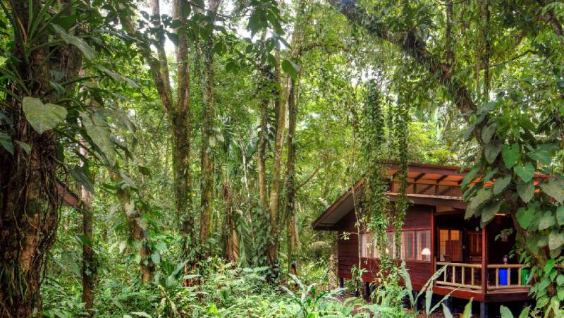 Evergreen Lodge