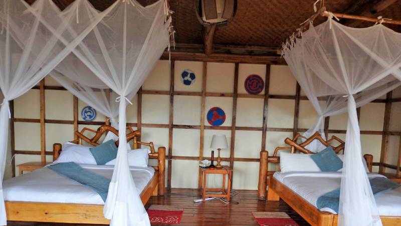 Chimps & Gorillas of Uganda