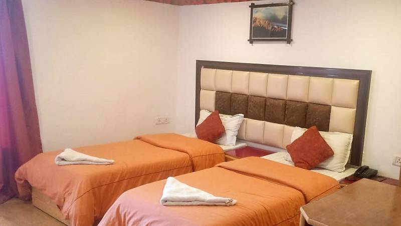 Search for Snow Leopards with Valerie Parkinson