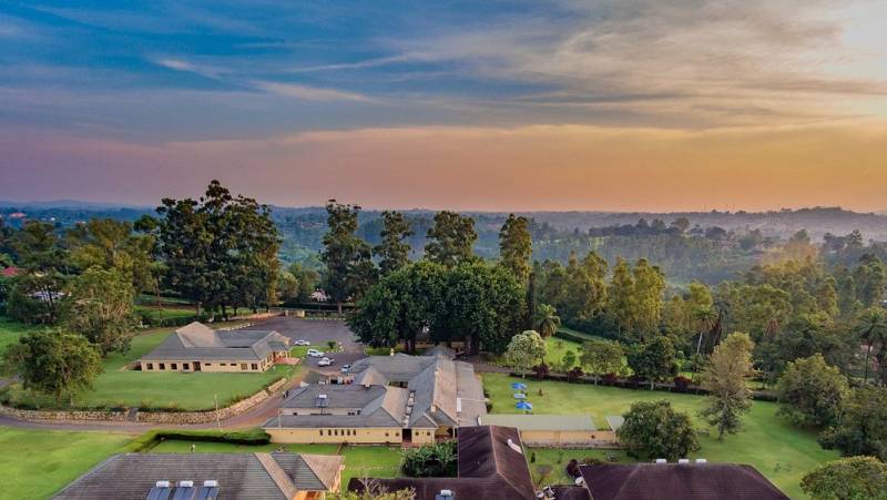 Chimps & Gorillas of Uganda