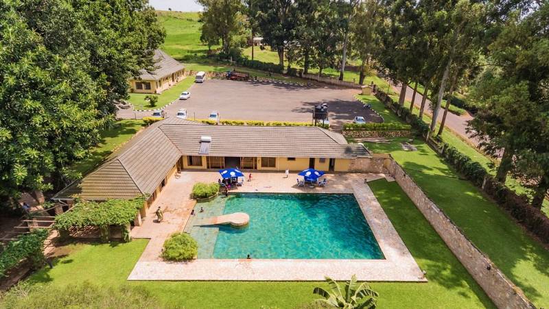 Chimps & Gorillas of Uganda