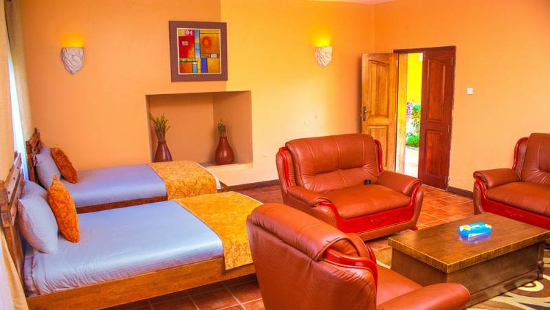 Chimps & Gorillas of Uganda