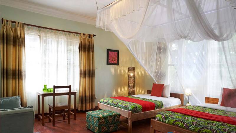 Chimps & Gorillas of Uganda