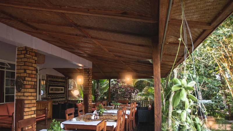 Chimps & Gorillas of Uganda