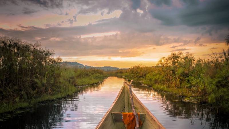 Chimps & Gorillas of Uganda
