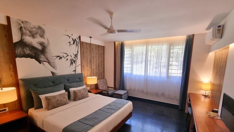 Kerala & the Tropical South