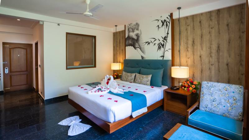 Kerala & the Tropical South