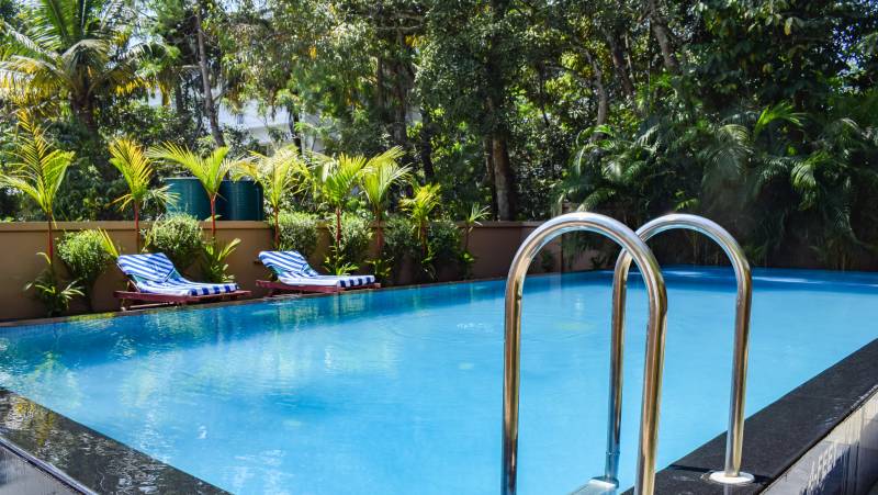 Kerala & the Tropical South