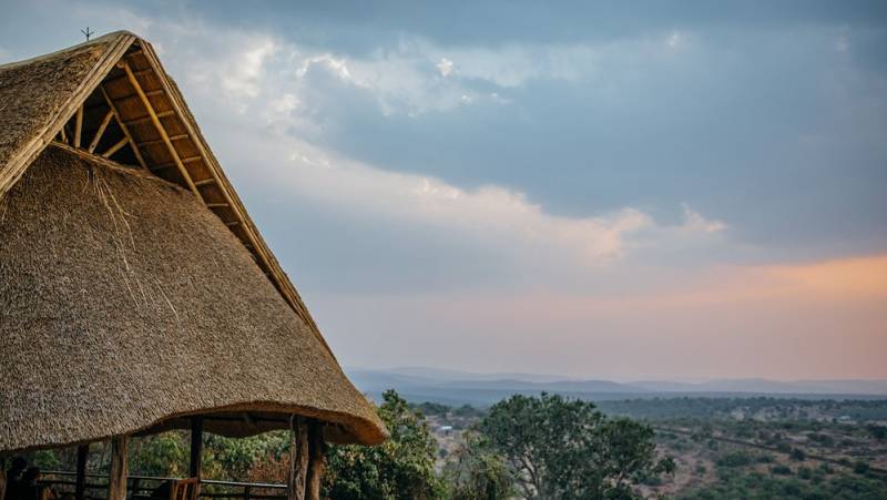 Chimps & Gorillas of Uganda