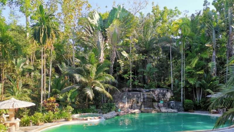 Borneo Family Wildlife Adventure