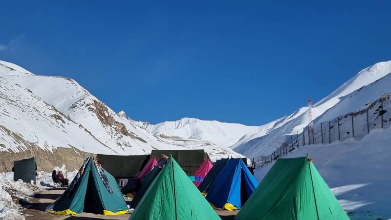 Search for Snow Leopards with Valerie Parkinson