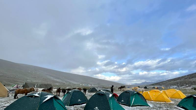 Peaks of Ladakh Trek