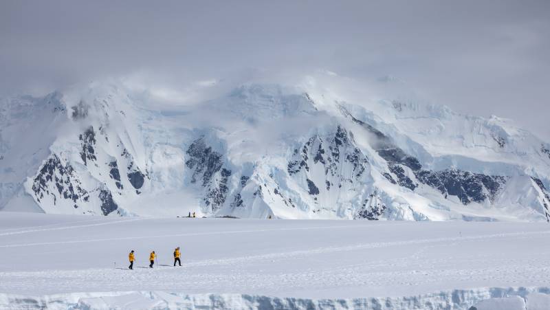 Epic Antarctica: Falklands, South Georgia & Antarctic Circle Crossing via Buenos Aires
