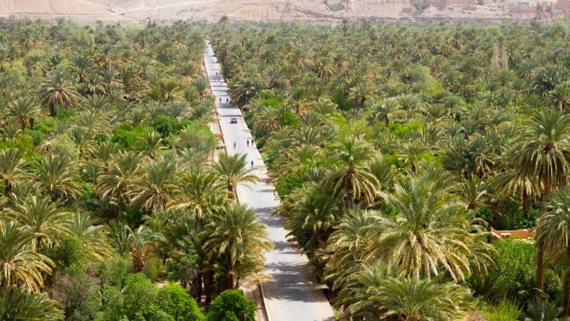 Discover Marrakech & the Sahara