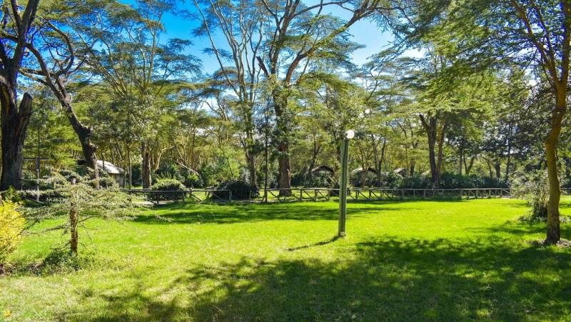 Lake Naivasha Crescent Camp