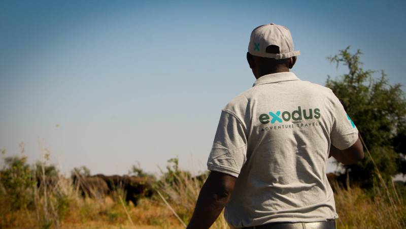 Zambezi Canoe Safari