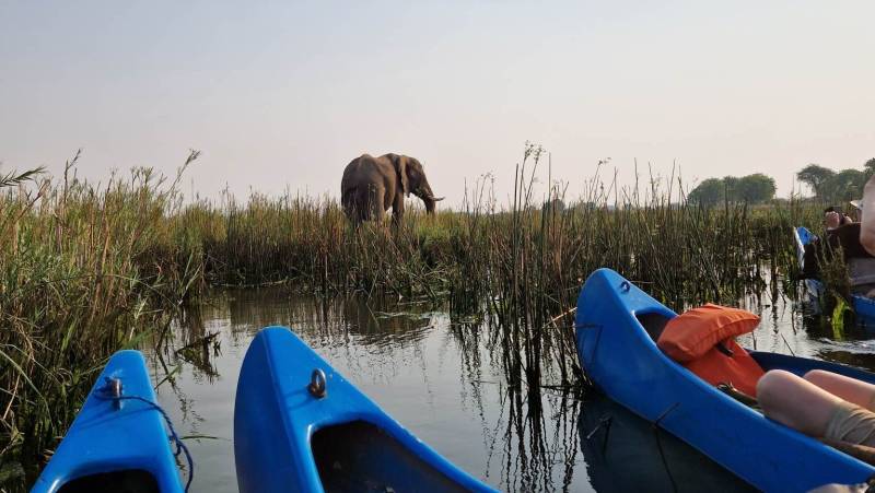 Zambezi Canoe Safari