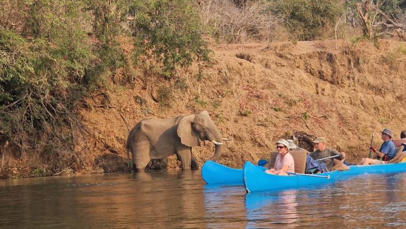 Zambezi Canoe Safari